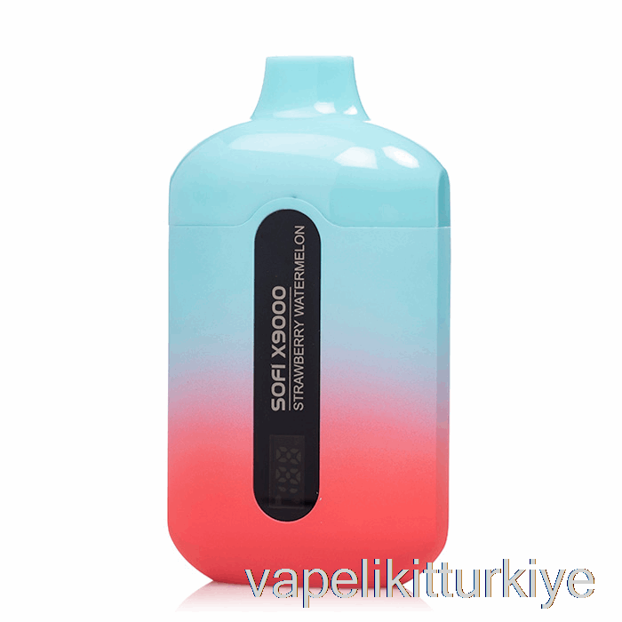 Elektronik Sigara Kalemi Vape Mate Sofi X9000 Akıllı Tek Kullanımlık çilek Karpuz